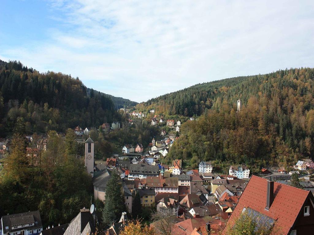 Ferienwohnung King Triberg im Schwarzwald Екстериор снимка